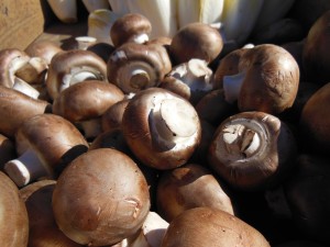 mushrooms-96892
